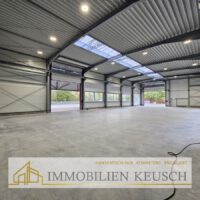 Große helle Halle mit 2 Toren