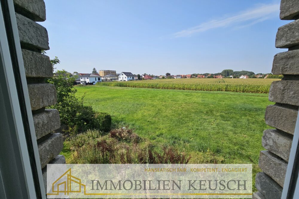 Blick ins Grüne aus dem OG