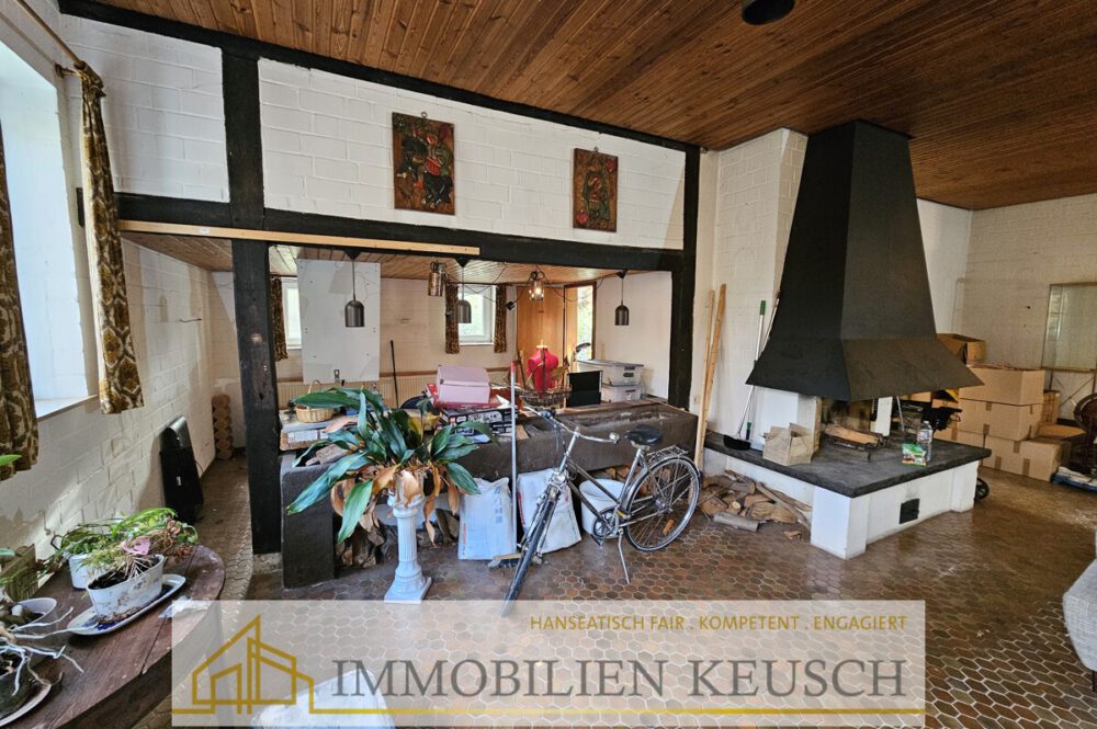 Offene Küche mit Tresen - Kamin EG