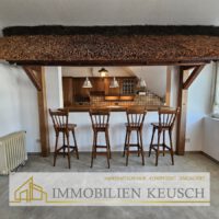 Theke Wohnzimmer