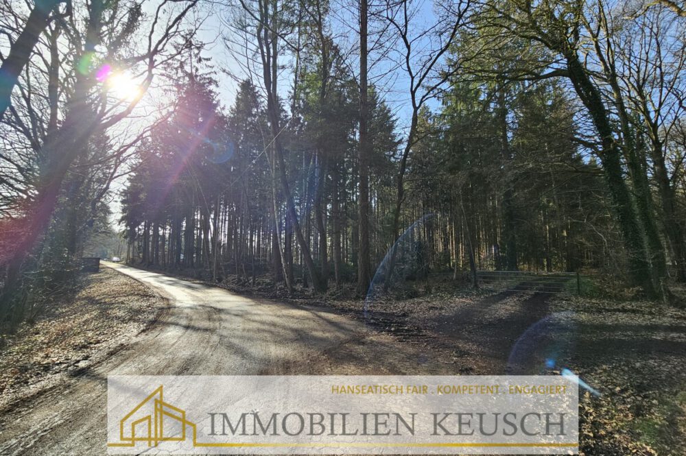 Zufahrt zum Grundstück