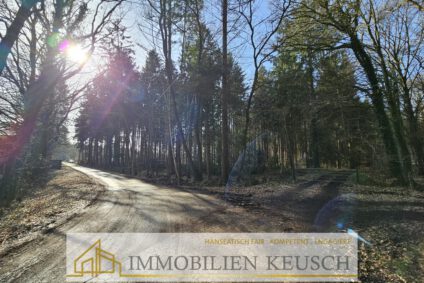 Zufahrt zum Grundstück