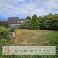 großes grünes Grundstück