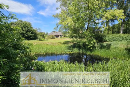 Ihr ruhiger Traum mit Teich