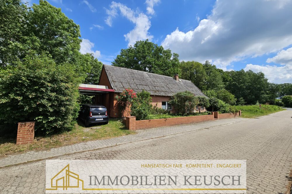 Vorderansicht mit Carport