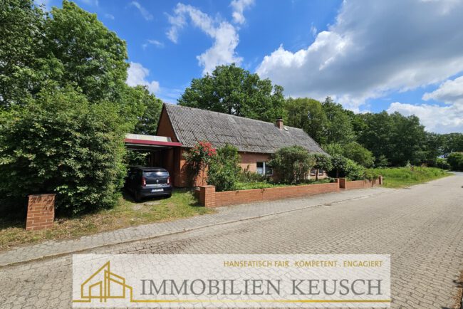 Vorderansicht mit Carport