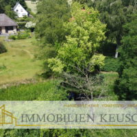 Großer TraumNaturGarten mit Teich