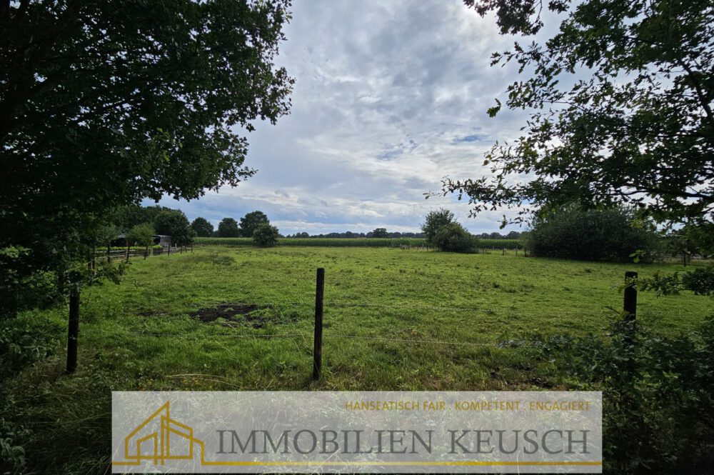 Nachbar Pferdewiese