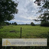 Nachbar Pferdewiese