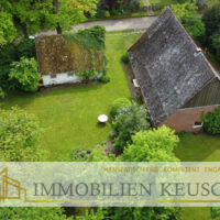 Hinteransicht gesamtes Grundstück