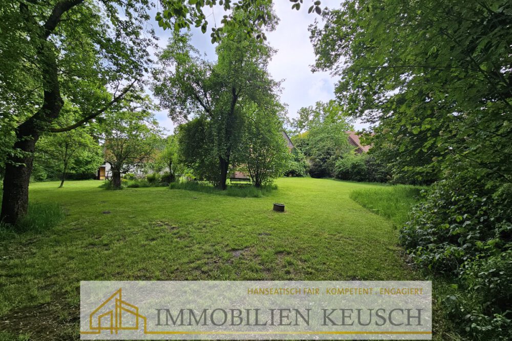 Traumgrundstück am Bach (1)