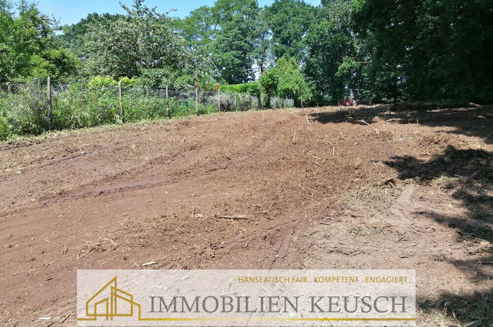 Grundstück_Breslauer_Str_nach Rodung