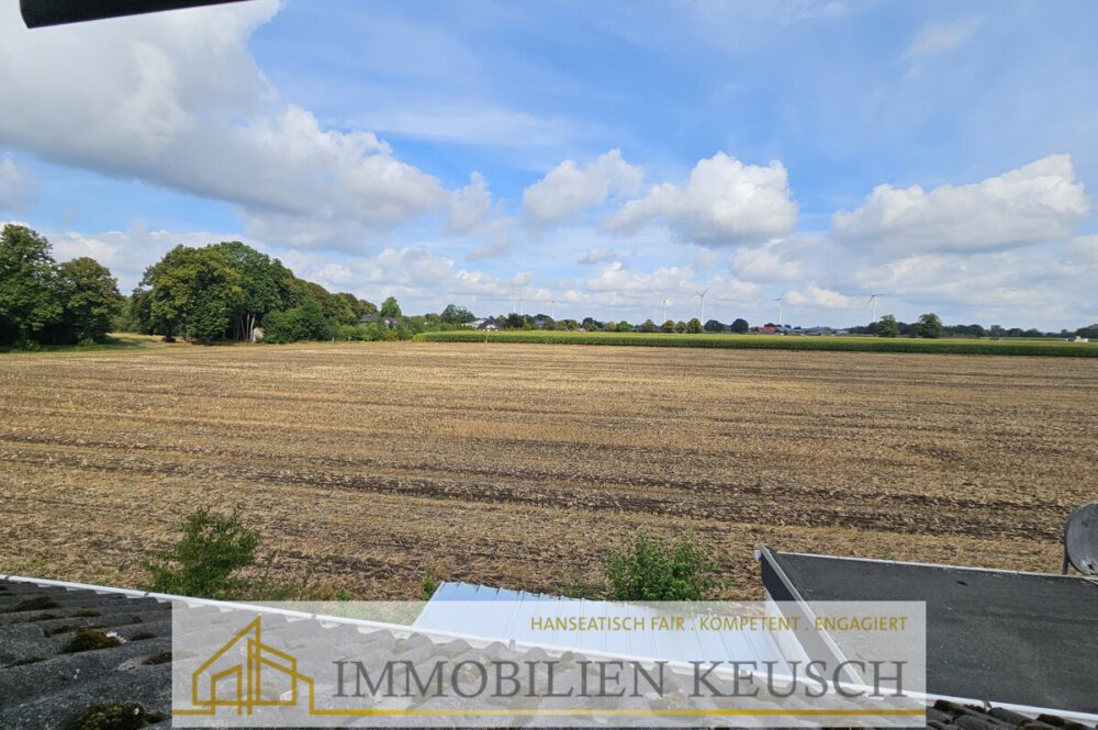 Blick aus dem Fenster im OG