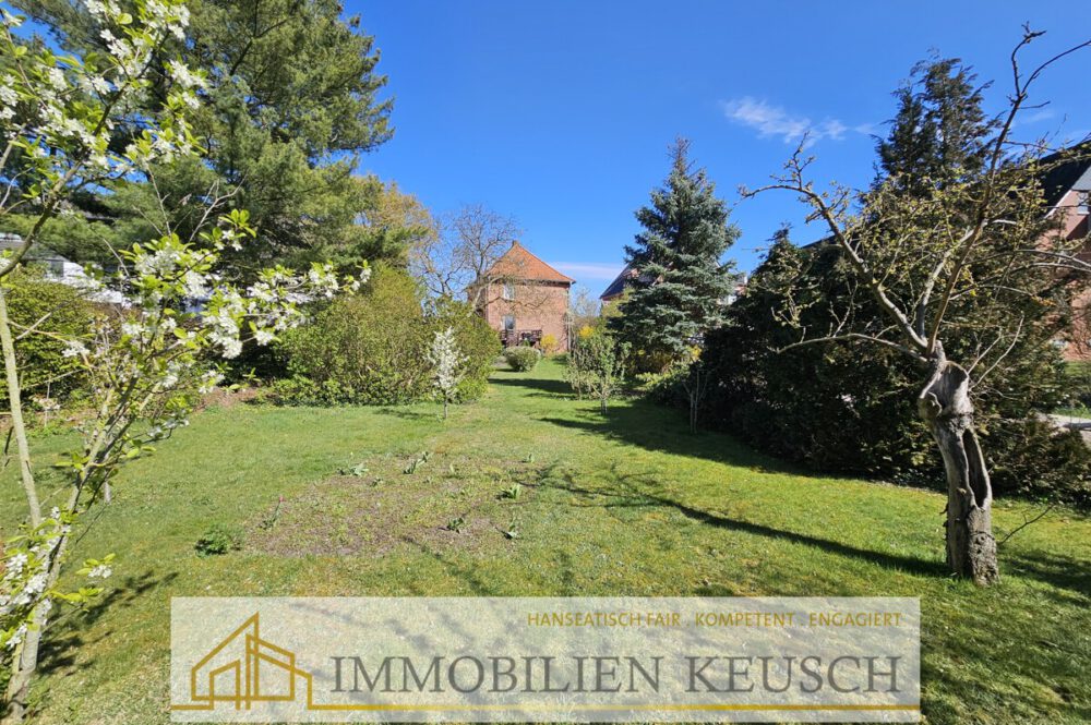 Großer & pflegeleichter Garten