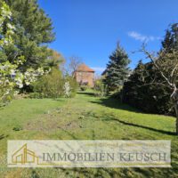 Großer & pflegeleichter Garten