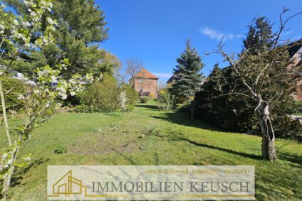 Großer & pflegeleichter Garten