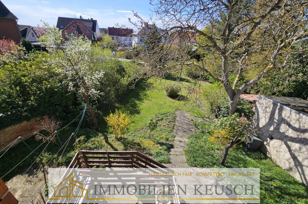 Blick in den Garten