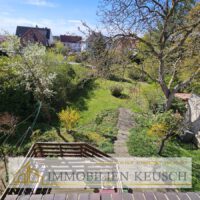 Blick in den Garten