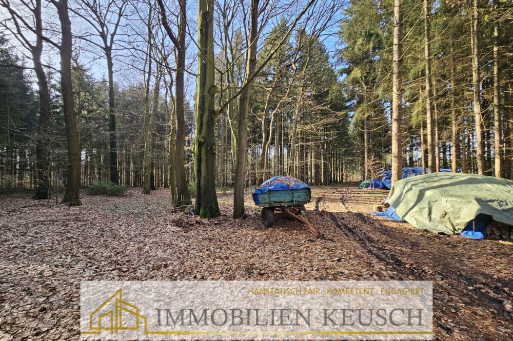 Feuerholz